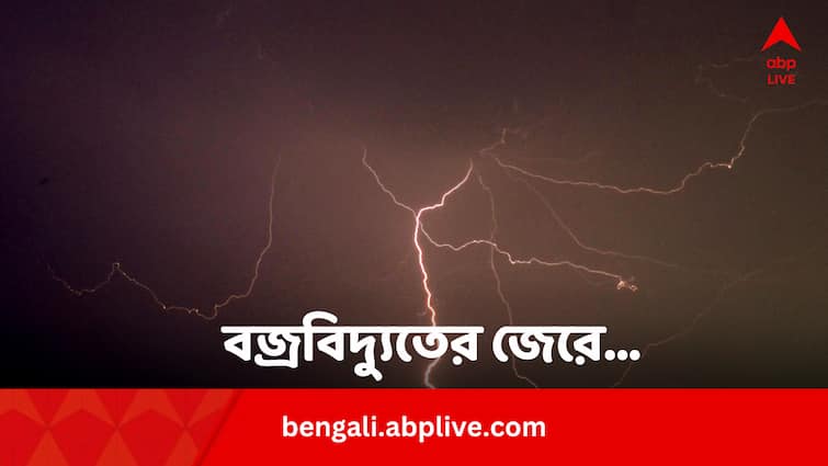 How to save electronic goods while thunderstorm outside bengali news Electronic Goods Tips: ঝড়বৃষ্টি, বিদ্যুতের মধ্যে ঘরের ইলেকট্রনিক যন্ত্রপাতি বাঁচাবেন কীভাবে ?