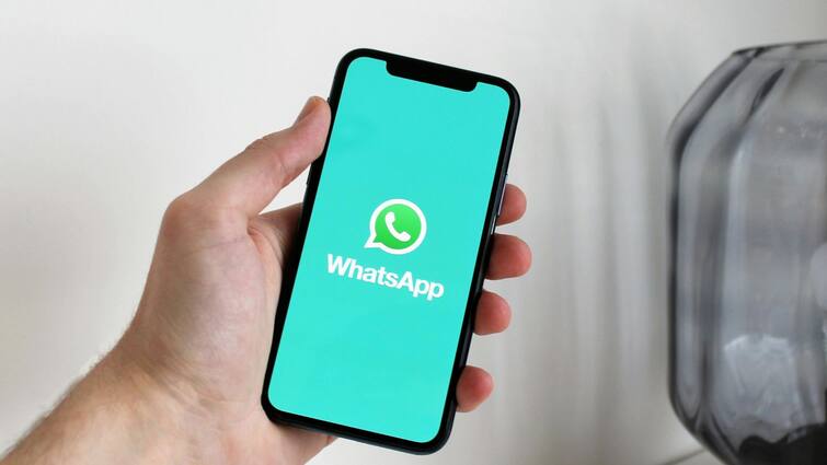 WhatsApp Features Audio Call Bar rolling out for some beta testers WhatsApp Features: হোয়াটসঅ্যাপে আসছে 'অডিও কল বার', কী কী সুবিধা পেতে চলেছেন ইউজাররা?