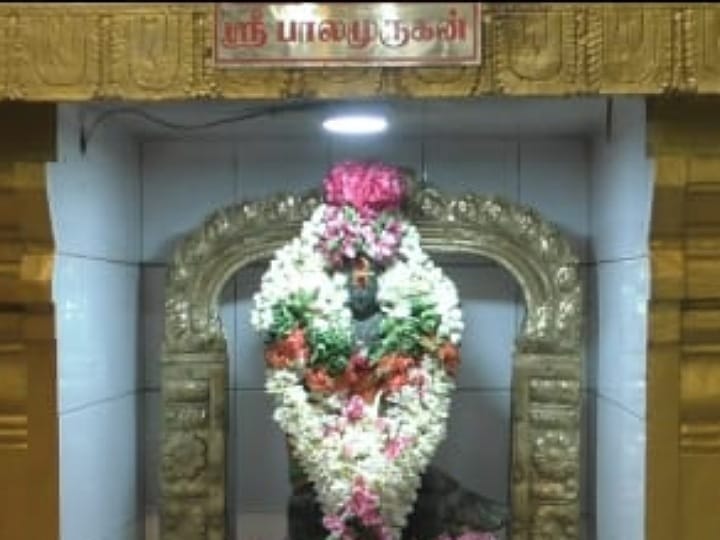 கரூர்  விஸ்வகர்மா சக்தி விநாயகர் ஆலயத்தில் கிருத்திகை பூஜை - பாலமுருகனுக்கு சிறப்பு அபிஷேகம்