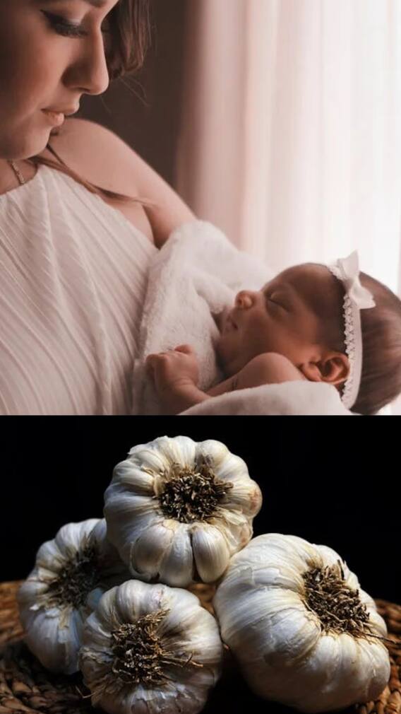 தாய்ப்பால்  சுரப்பை அதிகரிக்க உதவும் மூலிகை பொருட்கள்