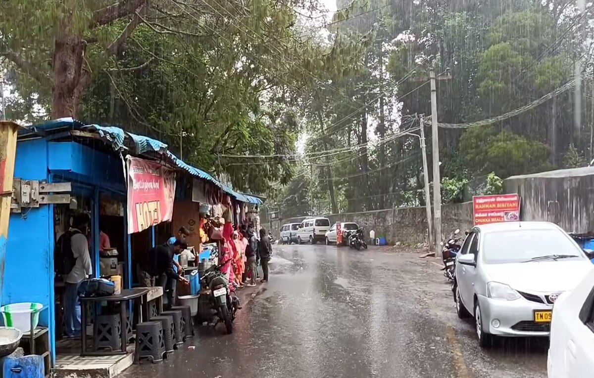 கொடைக்கானலில் நீண்ட நாட்களுக்கு பின் பெய்த மழையால் மக்கள் மகிழ்ச்சி