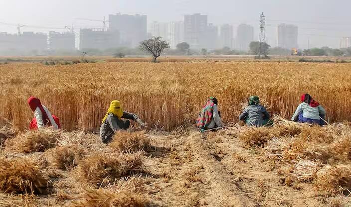 PM Kisan Yojana: પીએમ કિસાન યોજનાનો આગામી હપ્તો થોડા અઠવાડિયામાં બહાર પાડવામાં આવી શકે છે, જે અંતર્ગત ખેડૂતોના ખાતામાં બે હજાર રૂપિયા ટ્રાન્સફર કરવામાં આવશે.