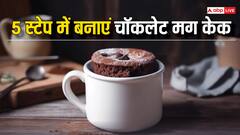 Chocolate Mug Cake: कुछ मीठा खाने की हो रही है क्रेविंग, तो मग में तैयार कर लें टेस्टी चॉकलेट केक