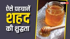 Honey Test: शहद खाने से पहले इस तरह कर लें उसकी शुद्धता की पहचान