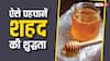 Honey Test: शहद खाने से पहले इस तरह कर लें उसकी शुद्धता की पहचान