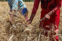 PM Kisan Yojana: किसान ऐसे कर सकते हैं अपनी ई-केवाईसी, बिना इसके नहीं आएगा पीएम किसान योजना का पैसा