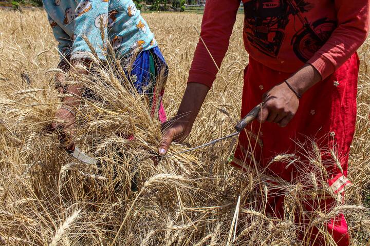 पीएम किसान योजना की अगली किस्त जारी होने से पहले तमाम किसानों को ई-केवाईसी करने के लिए कहा जा रहा है.
