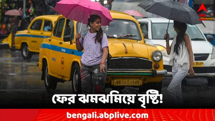 West Bengal Weather Update Rain Forecast For Coming 3 to 4 days South Bengal and North Bengal Weather Update: এখনই থামছে না বর্ষণ, ফের কখন ঝমঝমিয়ে বৃষ্টি? জানাল হাওয়া অফিস