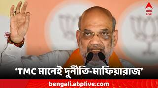 Loksabha Election 2024: 'গরু পাচার করে এখন তিহাড় জেলে বন্দি এখানকার একজন' আক্রমণ অমিত শাহর