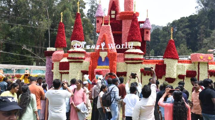 ஏராளமான சுற்றுலா பயணிகள் ஆர்வத்துடன் மலர் கண்காட்சியை கண்டு ரசித்து வருகின்றனர்.