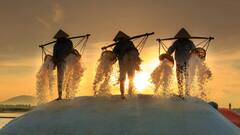 डॉक्टर्स क्यों ज्यादा नमक खाने से करते हैं इंकार? क्या है कारण