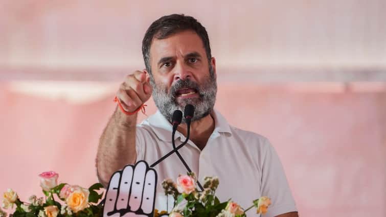 Rahul Gandhi Dig At PM Modi Delhi Lok Sabha Elections Rally 'The God-Sent Person Only Works For...': Rahul Gandhi's Dig At PM Modi In Delhi