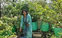 घराच्या टेरीसवर महिलेनं केला अनोखा प्रयोग, 300 हून अधिक फळे फुले आणि भाज्यांची लागवड