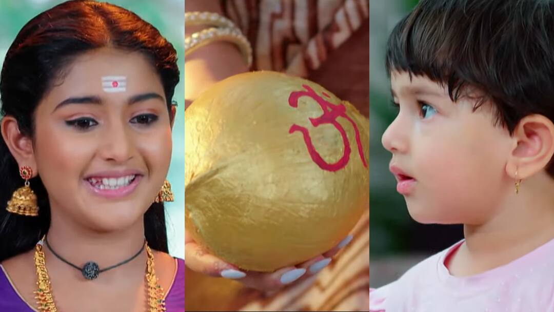 trinayani serial today may 10th episode written update in telugu Trinayani Serial Today May 10th: 'త్రినయని' సీరియల్: బంగారు కొబ్బరి కాయ తీసుకొచ్చిన విశాలాక్షి.. నోరెళ్లబెట్టిన కుటుంబ సభ్యులు!
