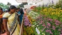 Ooty Flower Show : சுற்றுலா பயணிகளை ஆச்சரியப்படுத்தும் உதகை மலர் கண்காட்சி!