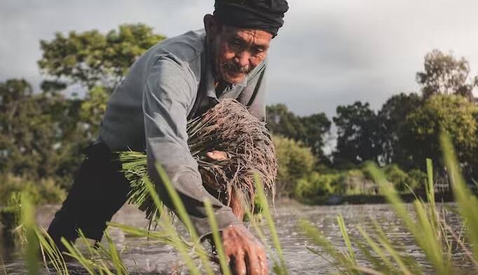 सबसे पहले किसान pmkisan.gov.in पर जाकर मोबाइल ओटीपी के जरिए अपना ई-केवाईसी प्राप्त कर सकते हैं। इसके अलावा इसे डिजिटल सेवा पोर्टल सीएससी के माध्यम से भी पूरा किया जा सकता है।