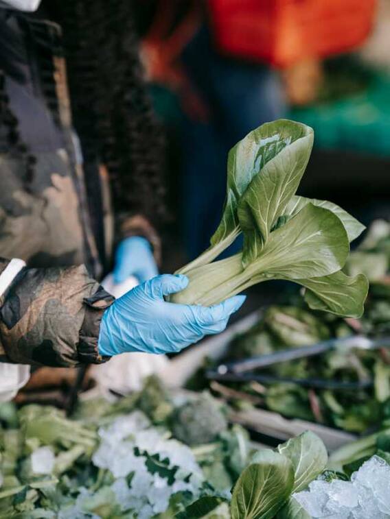 पालक खाने से शरीर में कितना आयरन बढ़ता है