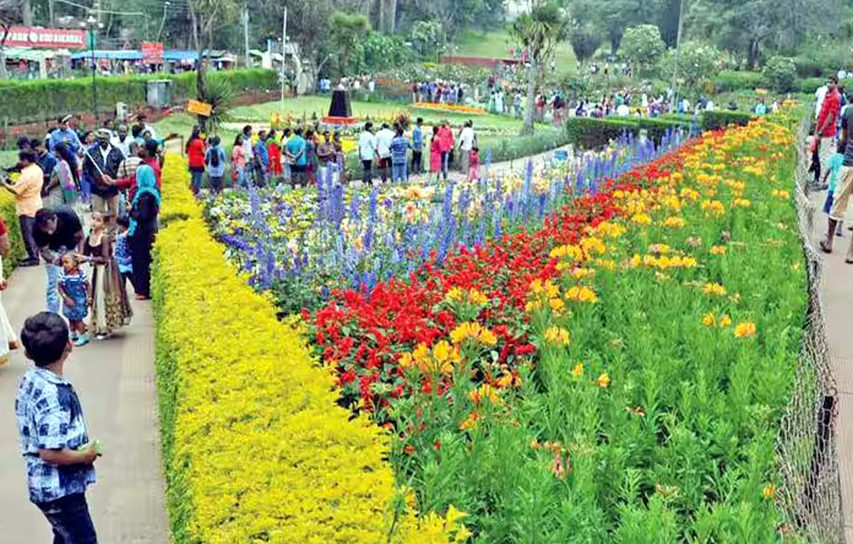 கொடைக்கானலில் மலர் கண்காட்சி தொடங்கும் தேதி அறிவிப்பு... சுற்றுலா பயணிகளே ரெடியா இருங்க