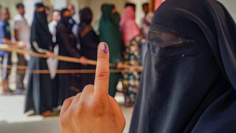 Lok Sabha Elections Srinagar Preps 32 Theme-Based Polling On May 13 Nari Shakti PwDs Young Voters 32 Theme-Based Polling Booths With Vibrant Colors Add Festivity To LS Elections In Srinagar