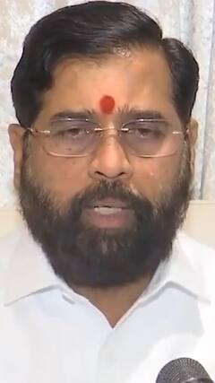 Lok Sabha Election: 'महाराष्ट्र में महायुति ज्यादा से ज्यादा सीटें जीतेगी' | ABP Shorts