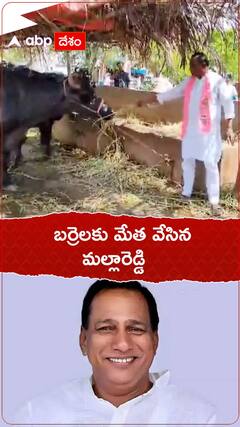 చాన్నాళ్ల తరువాత బర్రెల దగ్గరికి వచ్చినా మల్లారెడ్డి