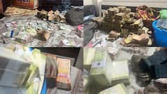 MP: जबलपुर में शख्स के घर से मिला नोटों का ढेर, पुलिस ने जताई ये अशंका, देखें तस्वीरें