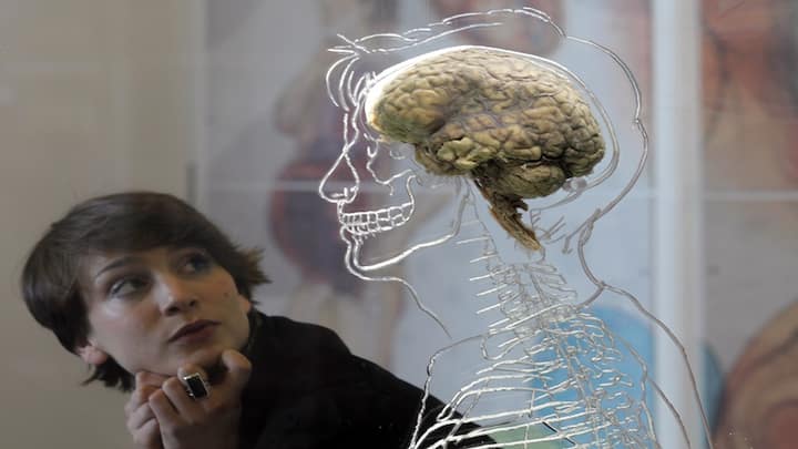 Brain Cancer Symptoms: મગજનું કેન્સર માત્ર મગજને જ નહીં પરંતુ સમગ્ર શરીરને અસર કરે છે. ચાલો તેના પ્રારંભિક લક્ષણો અને પ્રકારો વિશે વિગતવાર જાણીએ.