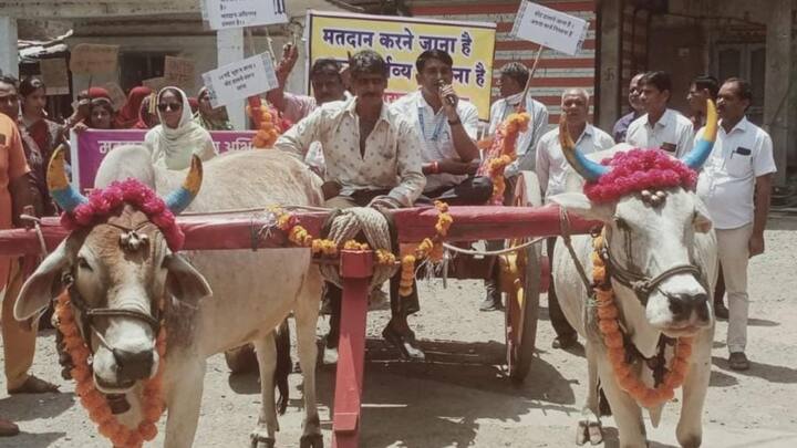 Ujjian News: उज्जैन में एक जनपद पंचायत के मुख्य कार्यपालक अधिकारी बैलगाड़ी में सवार होकर लोगों से मतदान करने की अपील करने पहुंचे. अधिक से अधिक मतदान को लेकर काफी प्रयास किए गए.