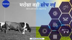 वीचेन: 50 हजार से 50 करोड़ तक की सफलता का सफर!