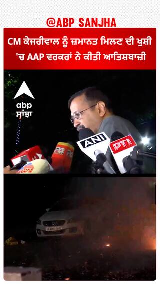 CM Kejriwal |CM ਕੇਜਰੀਵਾਲ ਨੂੰ ਜ਼ਮਾਨਤ ਮਿਲਣ ਦੀ ਖੁਸ਼ੀ 'ਚ AAP ਵਰਕਰਾਂ ਨੇ ਕੀਤੀ ਆਤਿਸ਼ਬਾਜ਼ੀ