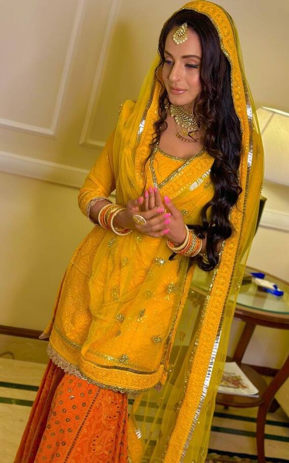 कितनी पढ़ी-लिखी हैं गदर मूवी की शकीना