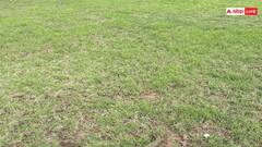 ऑप्टिकल इल्यूजन ने सोशल मीडिया पर मचाया धमाल, क्या आप इस तस्वीर में ढूंढ सकते हैं छिपा हुआ सांप?