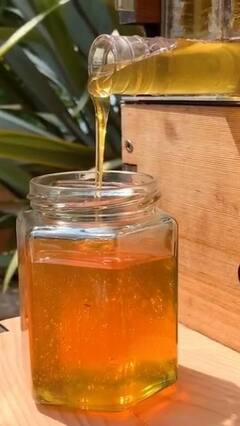 Honey Test: शहद खाने से पहले इस तरह कर लें उसकी शुद्धता की पहचान