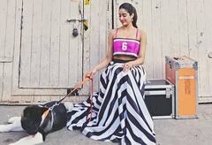 Janhvi Kapoor : செல்ல குட்டியுடன் துள்ளி குதித்து விளையாடும் ஜான்வி கபூர்!