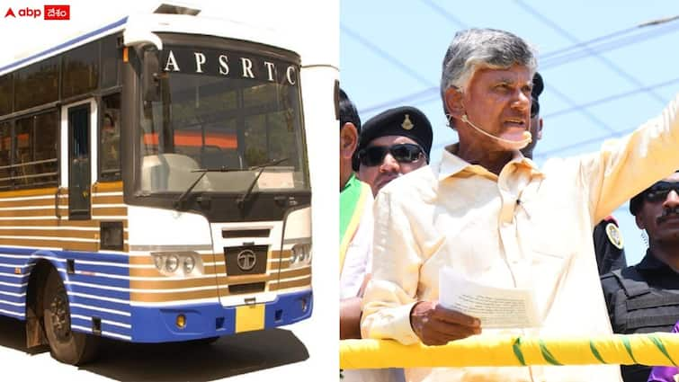 tdp chief chandrababu wrote a letter to apsrtc for additional buses due to elections Chandrababu: 'ఆర్టీసీ బస్సులు పెంచితే ఓటింగ్ శాతం పెరుగుతుంది' - సంస్థ ఎండీకి చంద్రబాబు లేఖ