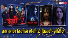 'स्त्री 2' से लेकर 'भूल भुलैया 3' तक ...इन हॉरर फिल्मों-सीरीज का दर्शक कर रहे इंतजार, इस साल होंगी रिलीज