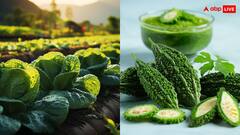 अगर ऐसे करेंगे करेले की खेती तो वो आपको बना देगी मालामाल... बड़े काम की है ये नई ट्रिक