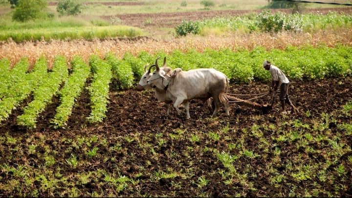 PM Kisan Scheme e-KYC: PM કિસાન યોજના હેઠળ યોજનાનો લાભ મેળવવા માટે, e KYC ની પ્રક્રિયા પૂર્ણ કરવી જરૂરી છે. ચાલો જાણીએ તેની પ્રક્રિયા.