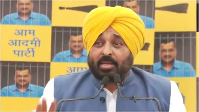 bhagwant mann claims government will not be formed at the Center without the AAP Lok Sabha Elections: '4 जून को बिना AAP के नहीं बन पाएगी सरकार', पंजाब के सीएम भगवंत मान का बड़ा दावा