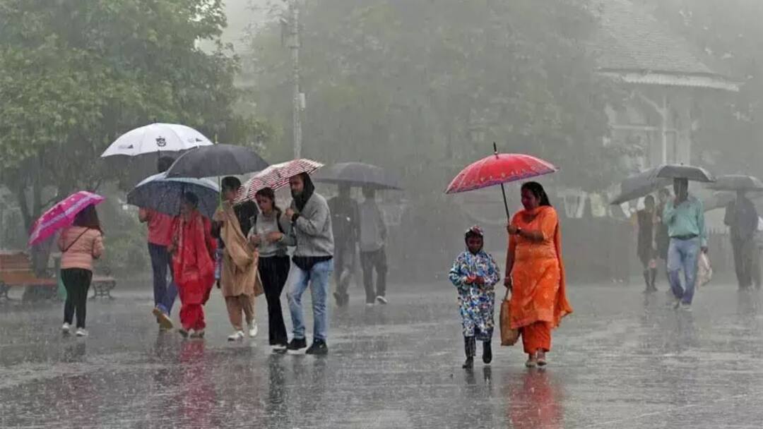 A yellow alert has been issued for heavy rains in Tamil Nadu for the next 5 days TN Weather Update: அடுத்த 5 நாட்களுக்கு மஞ்சள் அலர்ட்.. எத்தனை மாவட்டங்களுக்கு கனமழை எச்சரிக்கை?