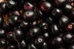 Diabetes: डायबिटीज पेशेंट के लिए वरदान से कम नहीं ये छोटी से चीज...रोजाना खानें से होंगे कई फायदे