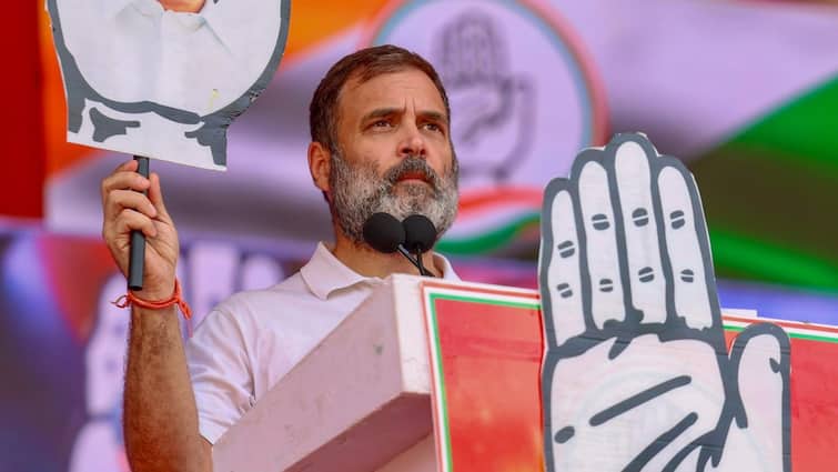 Rahul Gandhi lower caste Haryana Congress Panchkula Lok Sabha elections 'System Aligned Against Lower Castes, Know How It Works From Inside': Rahul Gandhi Says In Haryana