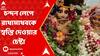 Chandan Yatra: গরম থেকে মুক্তি দিতে ভগবানের চন্দন যাত্রা, মায়াপুরে হাজারো ভক্তের সমাগম