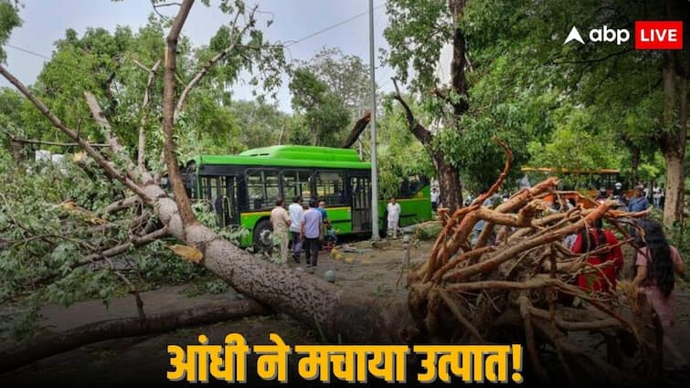 आफत की आंधी! कहीं गिरे पेड़ तो कहीं उड़े पंडाल, दिल्ली में 2 तो राजस्थान में 3 की मौत