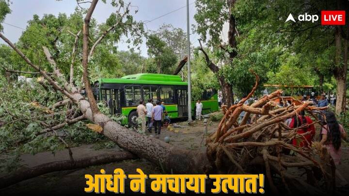 Delhi NCR Thunderstorm Damage 2 People Killed in Tree Uprooting Badrinath Kedarnath Route Closed Due Heavy Rain Thunderstorm Damage: आफत की आंधी! कहीं गिरे पेड़ तो कहीं उड़े पंडाल, दिल्ली में 2 तो राजस्थान में 3 की मौत, जानिए कहां कितना नुकसान