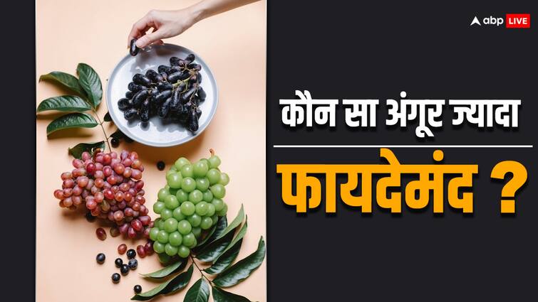 Which grapes are most beneficial to eat which is better among green black or red  Grapes Benefits: हरे-काले या लाल कौन से अंगूर सबसे बेहतर, जानिए किसमें सबसे ज्यादा विटामिन 