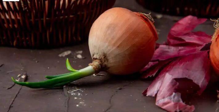 ਕੱਚੇ ਪਿਆਜ਼ ਵਿੱਚ ਫੋਲੇਟ, ਆਇਰਨ, ਪੋਟਾਸ਼ੀਅਮ ਅਤੇ ਵਿਟਾਮਿਨ ਸੀ ਅਤੇ ਬੀ6 ਹੁੰਦਾ ਹੈ। ਇਹ ਸਰੀਰ ਵਿੱਚ ਊਰਜਾ ਦਾ ਇੱਕ ਚੰਗਾ ਸਰੋਤ ਹੈ ਇਸ ਵਿੱਚ ਵੱਡੀ ਮਾਤਰਾ ਵਿੱਚ ਮੈਂਗਨੀਜ਼ ਹੁੰਦਾ ਹੈ। ਜੋ ਜ਼ੁਕਾਮ ਅਤੇ ਖਾਂਸੀ ਵਿੱਚ ਵੀ ਚੰਗਾ ਹੁੰਦਾ ਹੈ।