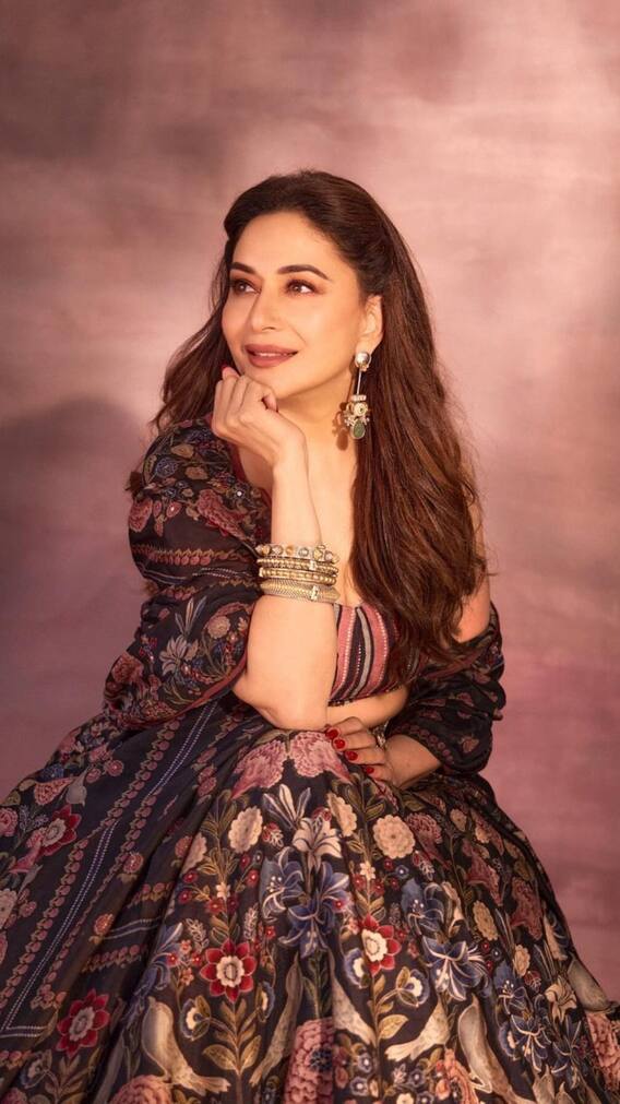 जानें बॉलीवुड की धक-धक गर्ल माधुरी दीक्षित हैं कितनी पढ़ी-लिखी