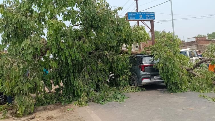 Gazipur National Highway tree fell on moving car two people suffered minor injuries averted major accident ann गाजीपुर में चलती पर गिरा पेड़, बड़ा हादसा टला, दो लोगों को आई मामूली चोट