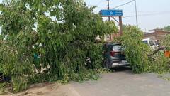 गाजीपुर में चलती पर गिरा पेड़, बड़ा हादसा टला, दो लोगों को आई मामूली चोट